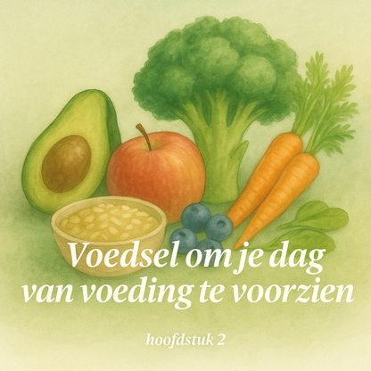 Een Leven Vol Energie - Bundel + Gratis Werkboek